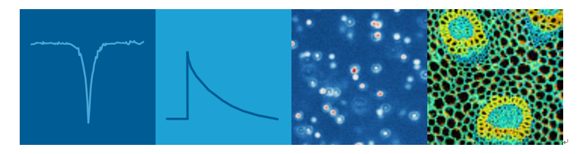 1652060170971915.png image.png