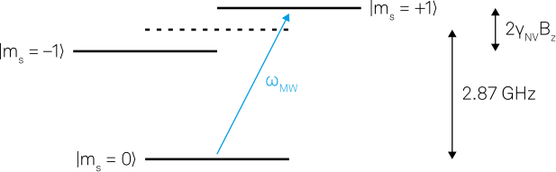 1716185040944203.png image.png