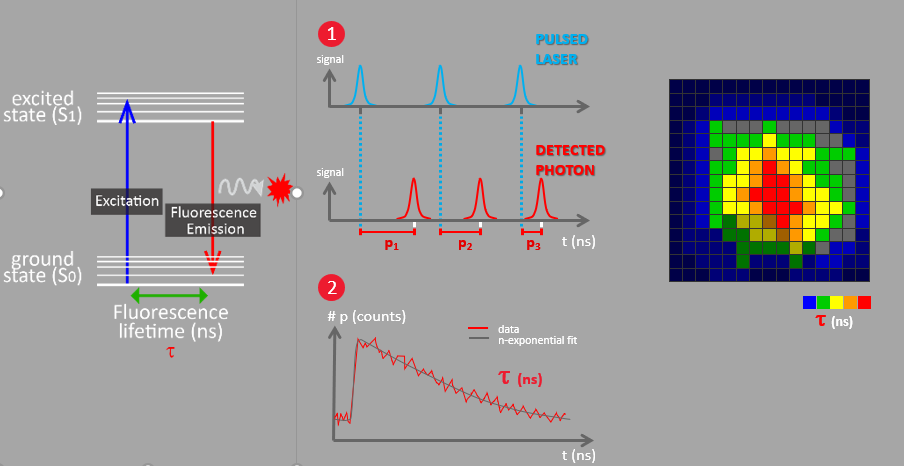 1718777699371880.png 0a1fb906ef5c06c19be31696440c5db9.png