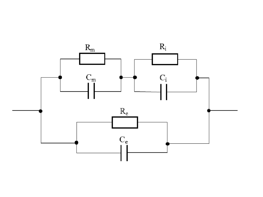 1733909128815882.png 圖2.png