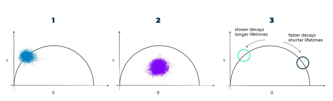 1747276772275231.png image.png