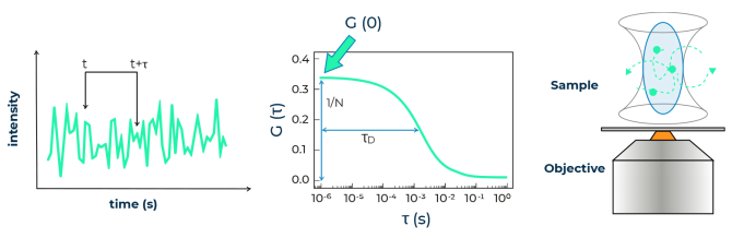 1747276833275446.png image.png